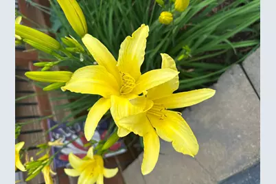 10770 Fall Court NW, Bemidji, MN 56601 - Photo 63