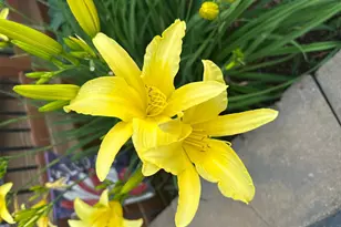 10770 Fall Ct NW, Bemidji, MN 56601 - Photo 63