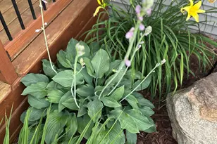 10770 Fall Ct NW, Bemidji, MN 56601 - Photo 77