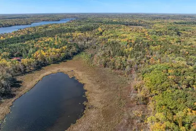 Tracts B & C Tbd Ossawinnamakee Road, Pequot Lakes, MN 56472 - Photo 9