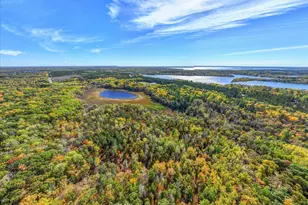 Tracts B & C Tbd Ossawinnamakee Rd, Pequot Lakes, MN 56472 - Photo 1