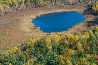 Tracts B & C Tbd Ossawinnamakee Road, Pequot Lakes, MN 56472 - Photo 5