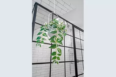 3049 E Bde Maka Ska Parkway, Minneapolis, MN 55408 - Photo 35