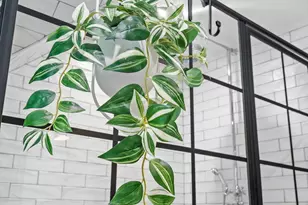 3049 E Bde Maka Ska Pkwy, Minneapolis, MN 55408 - Photo 35