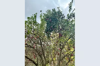 20091 Red Wing Boulevard, Hastings, MN 55033 - Photo 47