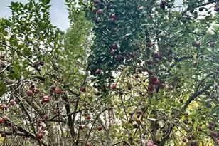 20091 Red Wing Blvd, Hastings, MN 55033 - Photo 47