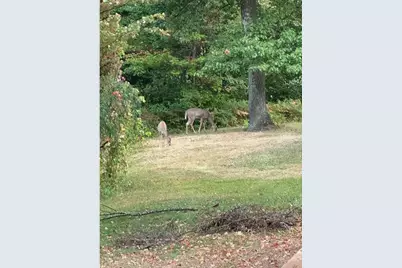 94241 S Net Lake Road, Holyoke, MN 55749 - Photo 51