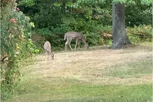 94241 S Net Lake Rd, Holyoke, MN 55749 - Photo 51