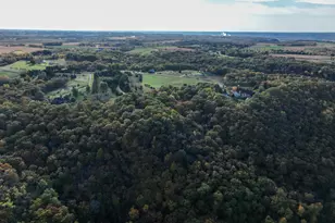 W10780 468th Ave, Prescott, WI 54021 - Photo 61