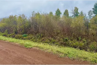 Tbd 390th Street, Aitkin, MN 56431 - Photo 1