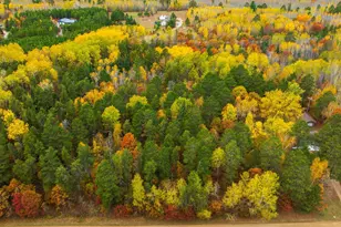 15769 169th Ave, Park Rapids, MN 56470 - Photo 31