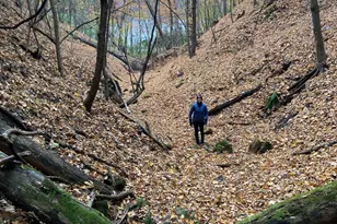 4350 River Rd S, Afton, MN 55001 - Photo 77