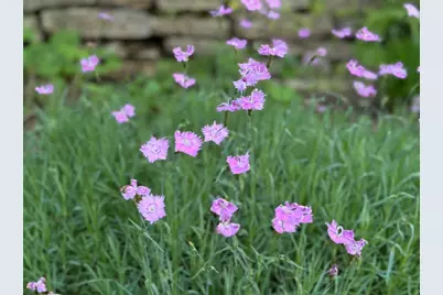 4350 River Road S, Afton, MN 55001 - Photo 101