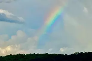 4350 River Rd S, Afton, MN 55001 - Photo 103