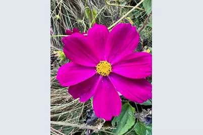 4350 River Road S, Afton, MN 55001 - Photo 93