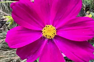 4350 River Rd S, Afton, MN 55001 - Photo 93