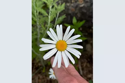 4350 River Road S, Afton, MN 55001 - Photo 99