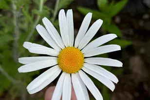 4350 River Rd S, Afton, MN 55001 - Photo 99