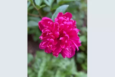 4350 River Road S, Afton, MN 55001 - Photo 95