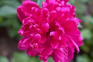 4350 River Rd S, Afton, MN 55001 - Photo 95