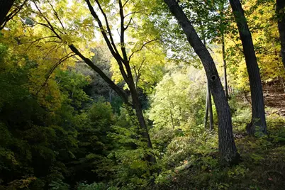 4350 River Road S, Afton, MN 55001 - Photo 69