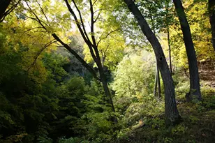 4350 River Rd S, Afton, MN 55001 - Photo 69