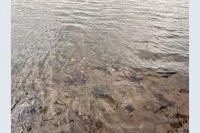 34235 County Road 9, Avon, MN 56310 - Photo 7