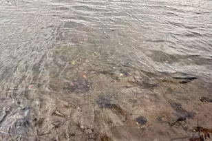 34235 Co Rd 9, Avon, MN 56310 - Photo 7