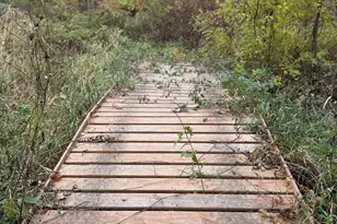 22880 Sunny Beach Rd NE, Kelliher, MN 56650 - Photo 53