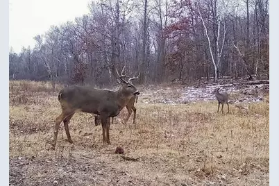 30871 Sunset Rd, Detroit Lakes, MN 56501 - Photo 57
