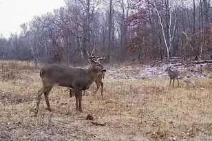 30871 Sunset Rd, Detroit Lakes, MN 56501 - Photo 57