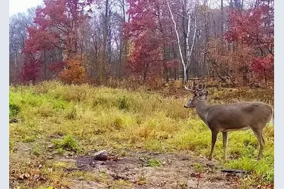 30871 Sunset Rd, Detroit Lakes, MN 56501 - Photo 53