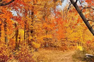 30871 Sunset Rd, Detroit Lakes, MN 56501 - Photo 67