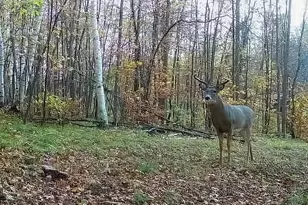 30871 Sunset Rd, Detroit Lakes, MN 56501 - Photo 55