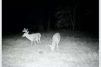 30871 Sunset Rd, Detroit Lakes, MN 56501 - Photo 61