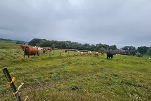 200 Spring View Dr, Edgerton, MN 56128 - Photo 39