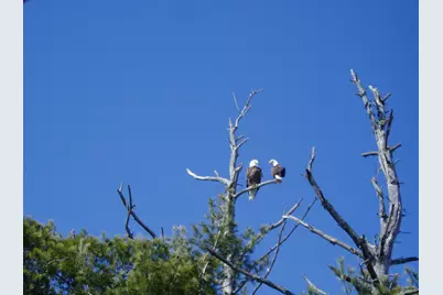 5568 50th Street NW, Hackensack, MN 56452 - Photo 89