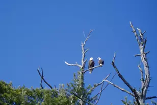 5568 50th St NW, Hackensack, MN 56452 - Photo 89