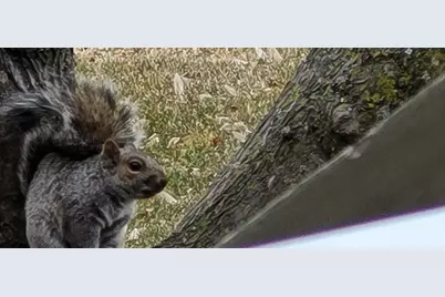 1301 McKusick Road Lane N, Stillwater, MN 55082 - Photo 33