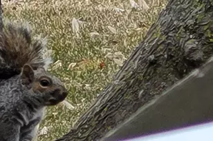 1301 McKusick Rd Ln N, Stillwater, MN 55082 - Photo 33