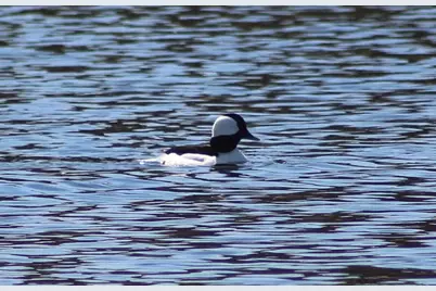 1301 McKusick Road Lane N, Stillwater, MN 55082 - Photo 37