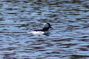 1301 McKusick Rd Ln N, Stillwater, MN 55082 - Photo 37