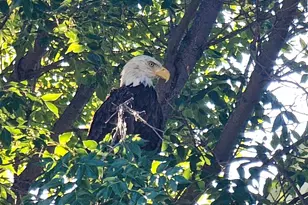 1301 McKusick Rd Ln N, Stillwater, MN 55082 - Photo 35