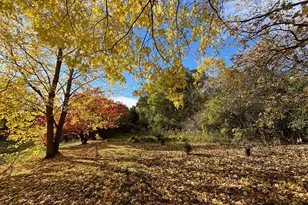 46279 193rd St, Morris, MN 56267 - Photo 11