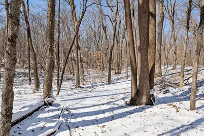 4109 North Shore Drive, Orono, MN 55364 - Photo 97