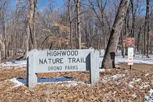 4109 N Shore Dr, Orono, MN 55364 - Photo 99