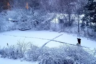 18244 88th Pl N, Maple Grove, MN 55311 - Photo 37