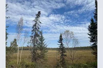 Parcel 13 Tbd Hwy 115, Tower, MN 55790 - Photo 11