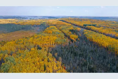 Parcel 13 Tbd Hwy 115, Tower, MN 55790 - Photo 7