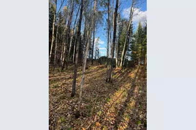 Parcel 13 Tbd Hwy 115, Tower, MN 55790 - Photo 9